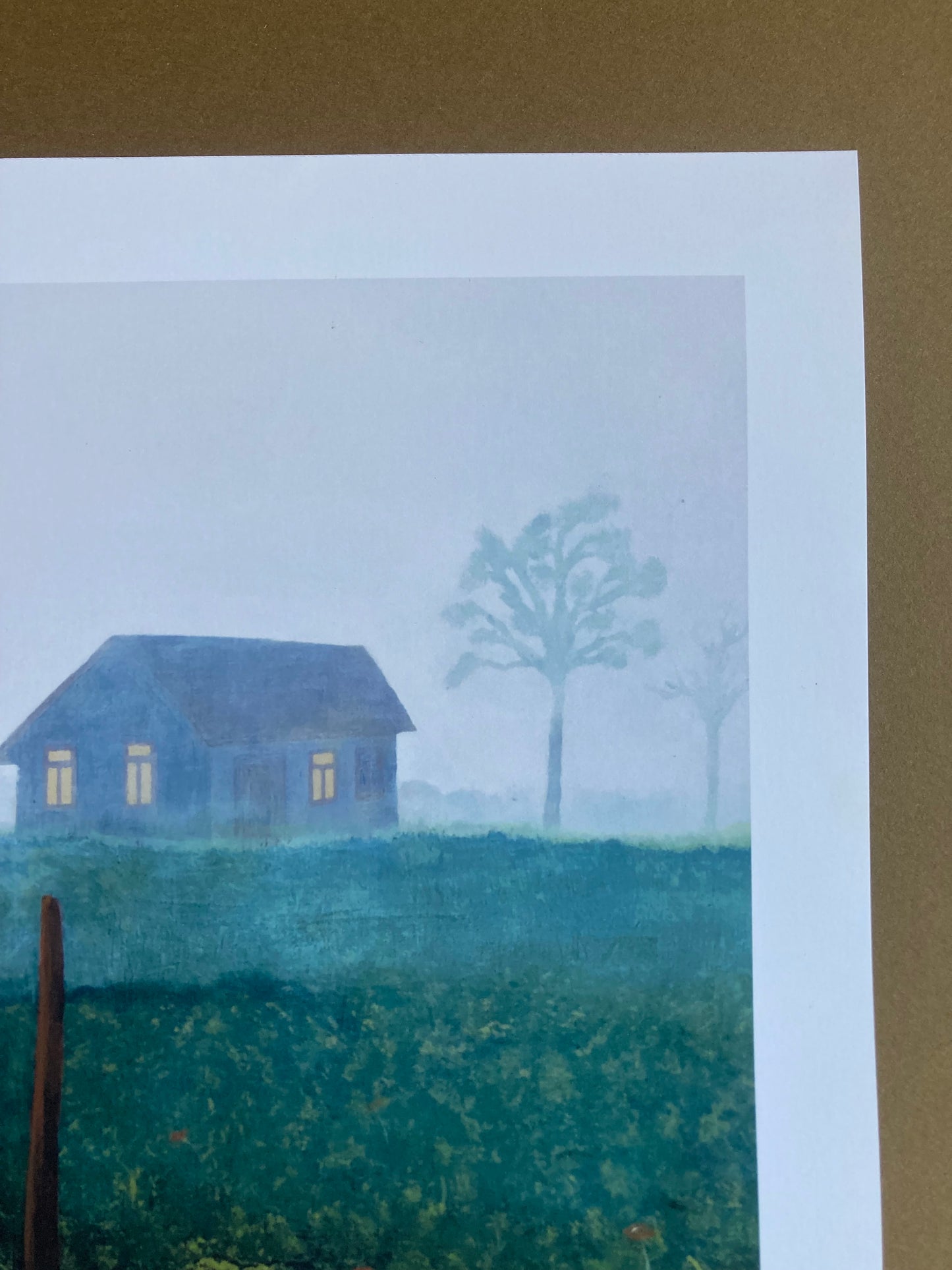 (A) Print “Anemofobia”